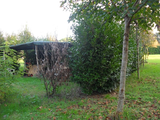 immagine annuncio 5 di 9