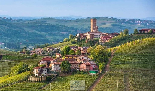 immagine annuncio 1 di 2