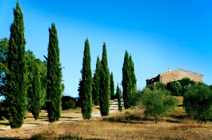 Foto Rustico a Campagnatico di 300 m² in vendita