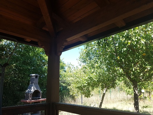 immagine annuncio 2 di 9