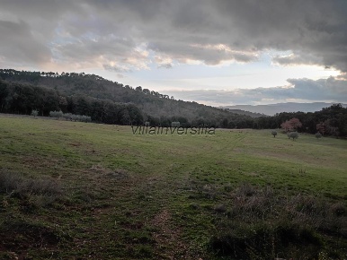 Foto Casale a Casole d'Elsa di 600 m² con 10 locali in vendita