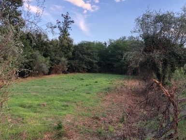 Foto Casale a Fucecchio Centro di 200 m² con 10 locali in vendita