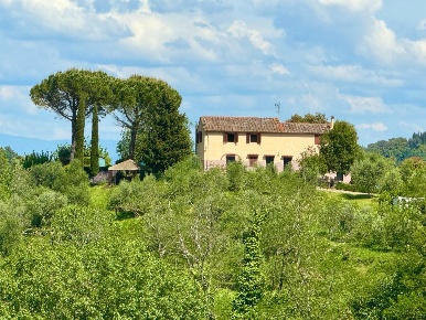 Foto Casale a Palaia Centro di 240 m² con 8 locali in vendita