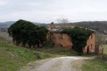 Foto Casale a Asciano Centro di 545 m² in vendita