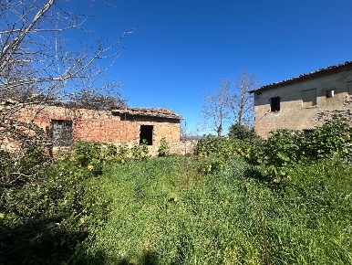 Foto Casale a Asciano di 800 m² con 30 locali in vendita