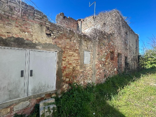 immagine annuncio 5 di 14