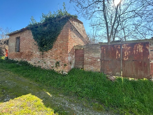 immagine annuncio 6 di 14