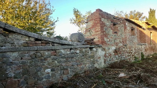 immagine annuncio 11 di 14