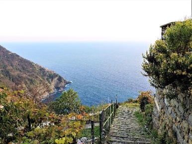 Foto Casale a La Spezia Biassa di 64 m² con 3 locali in vendita