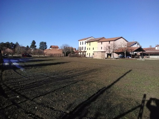 immagine annuncio 1 di 6