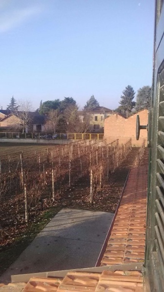 immagine annuncio 5 di 6