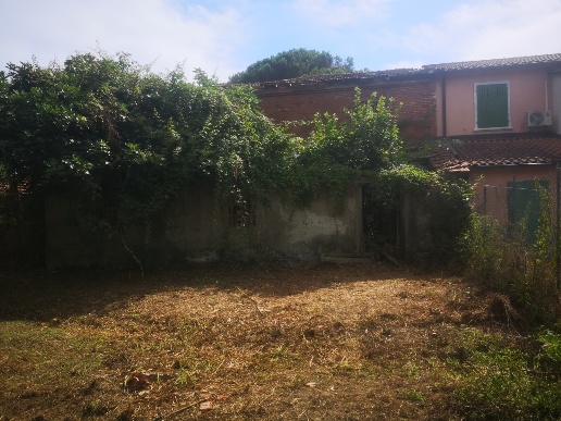 immagine annuncio 11 di 14