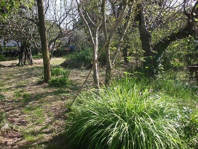 Foto Casale a Cascina Navacchio Nord - Zambra di 550 m² con 16 locali