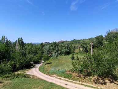 Foto Casale a Peccioli di 308 m² con 11 locali in vendita