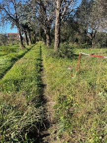 Foto Casale a Sarzana Sarzanello, San Lazzaro di 150 m² con 4 locali