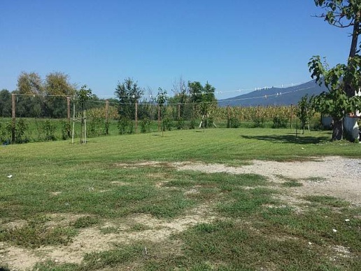immagine annuncio 4 di 9