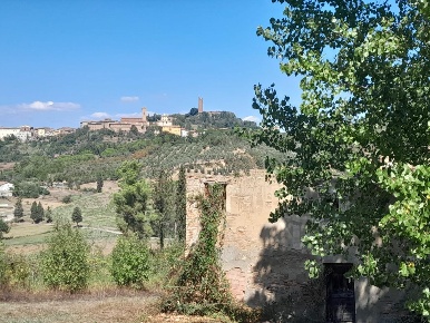 Foto Casale a San Miniato La Scala, Calenzano di 360 m² con 8 locali