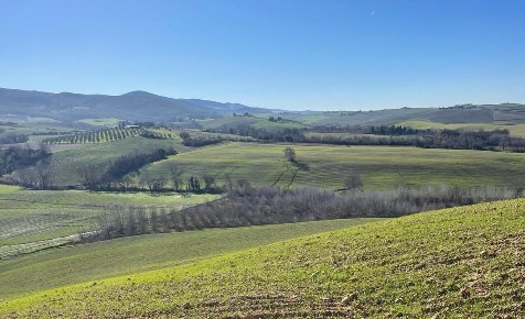 Foto Casale a Lajatico Centro di 900 m² con 30 locali in vendita