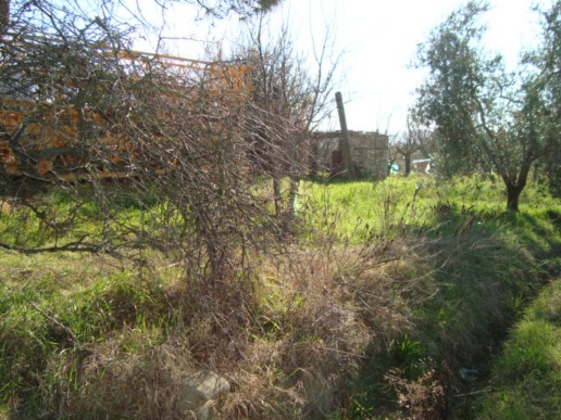 immagine annuncio 8 di 9