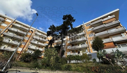 Foto Appartamento in Via Antonio Magarotto 10, Roma Collina delle Muse