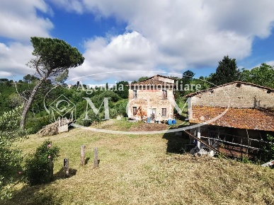 Foto Casale a Santa Maria a Monte Centro di 230 m² con 9 locali in vendita