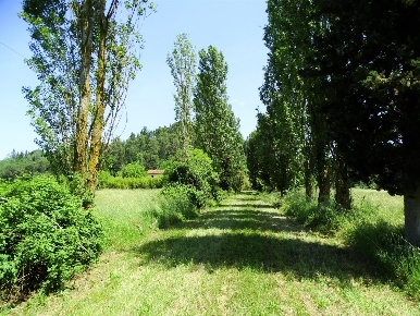 Foto Casale a San Miniato Corazzano di 1065 m² con 30 locali in vendita