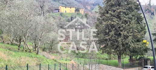 Foto Casale a Pescia Centro di 240 m² con 10 locali in vendita