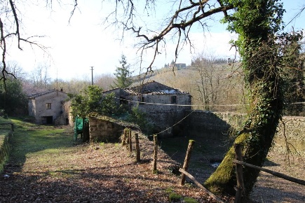 Foto Casale a Castellina in Chianti di 576 m² con 25 locali in vendita