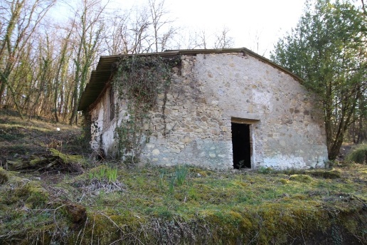 immagine annuncio 2 di 12