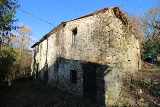 immagine annuncio 5 di 12