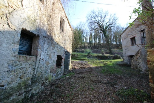 immagine annuncio 6 di 12