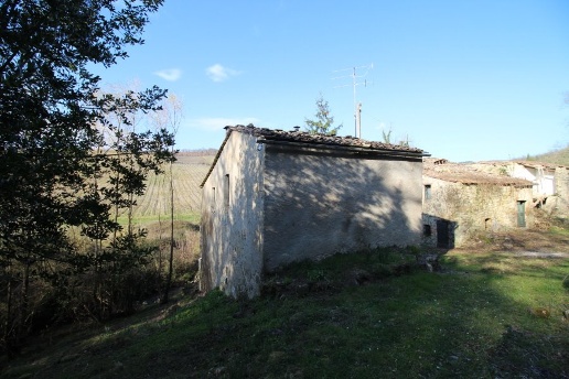 immagine annuncio 8 di 12