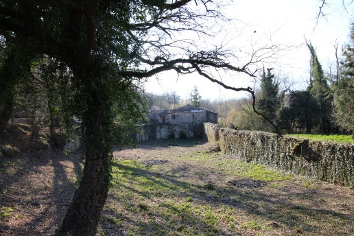 immagine annuncio 11 di 12