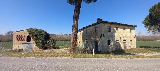 immagine annuncio 5 di 14