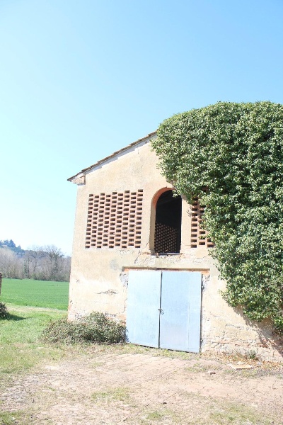 immagine annuncio 10 di 14