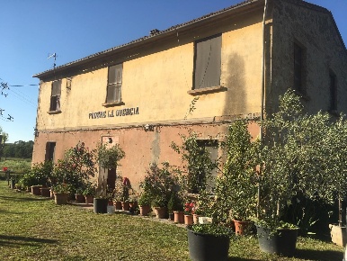 Foto Casale a Volterra Centro di 615 m² con 12 locali in vendita