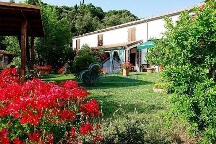 Foto Casale a Sarzana Olmo, Santa Caterina, Falcinello di 536 m² in vendita