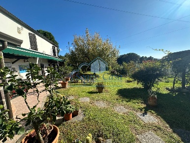 Foto Casale a Sarzana Olmo, Santa Caterina, Falcinello di 536 m² in vendita