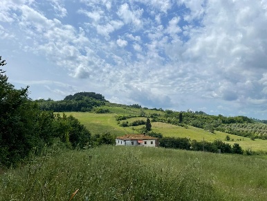 Foto Casale a San Miniato Cusignano, Canneto di 500 m² con 10 locali