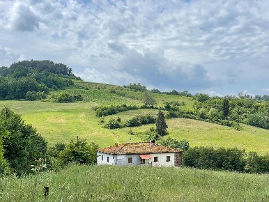 Foto Casale a San Miniato Cusignano, Canneto di 500 m² con 10 locali
