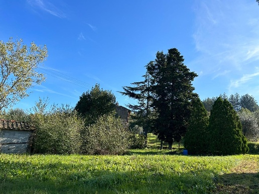 immagine annuncio 6 di 13