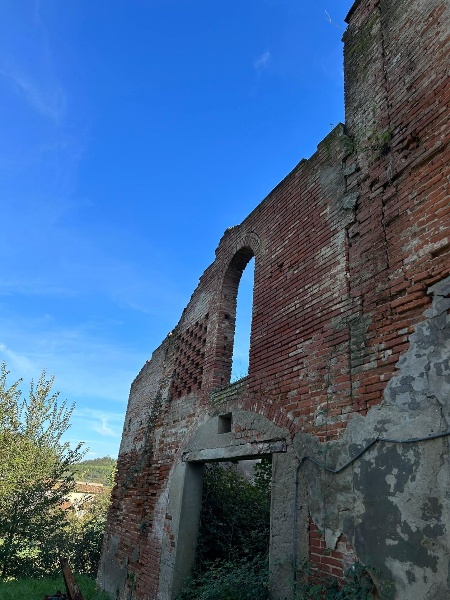 immagine annuncio 7 di 13