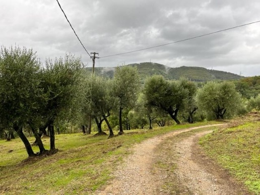 immagine annuncio 5 di 9