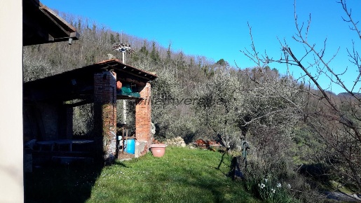 Foto Casale a Capannori Petrognano - San Gennaro di 370 m² con 15 locali