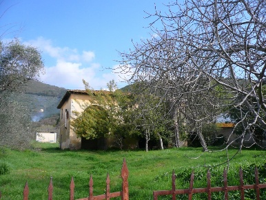 Foto Casale a Calci Gabella di 363 m² con 13 locali in vendita