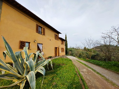 Foto Casale a Palaia di 400 m² con 10 locali in vendita