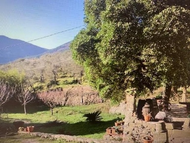 Foto Casale a Calci Centro di 452 m² con 6 locali in vendita