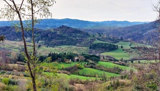 Foto Casale a Palaia Centro di 410 m² con 12 locali in vendita