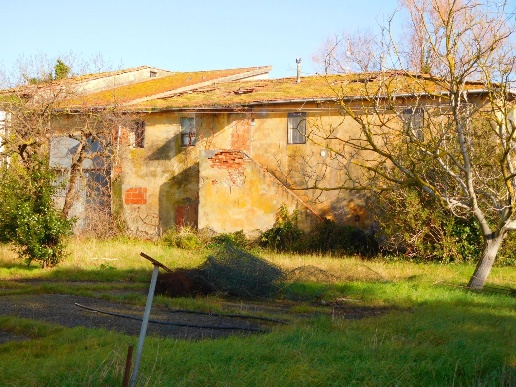 immagine annuncio 3 di 11