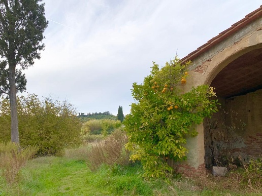 immagine annuncio 5 di 12